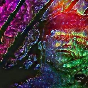 Meet your Posher, Jayden